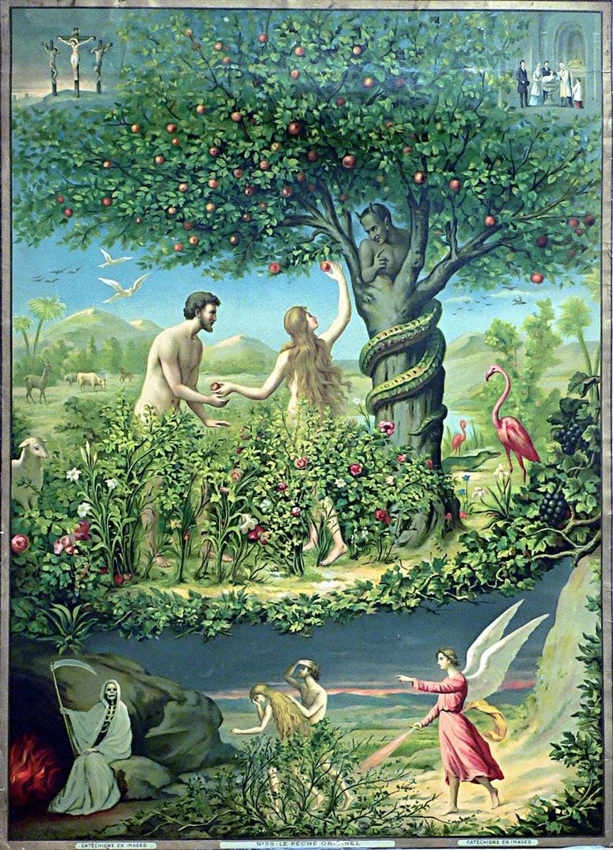 Original Sin and the Death of Humanity - Catholicism Coffee | Catholicism  Coffee