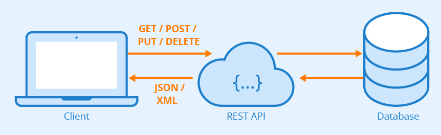 REST API Naming Conventions. A powerful tool for information sharing ...