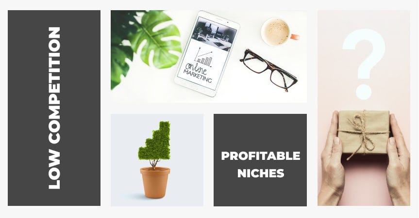 10 Most Profitable  Niches