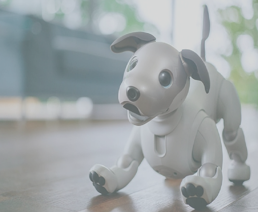 Aido Robot Ingen Dynamics Aido Robot Family Robot Aidorobott Medium