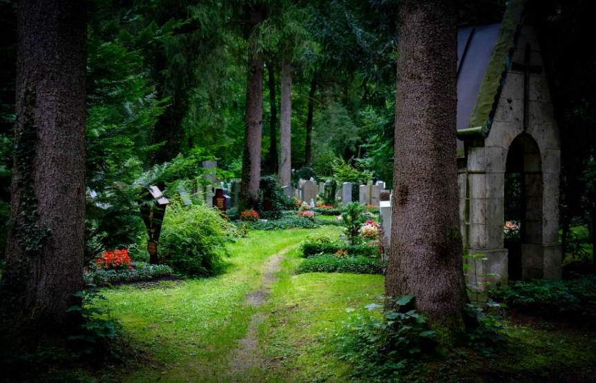 Honoring Loved Ones with Dignity: Budget Funerals and Tranquil ...