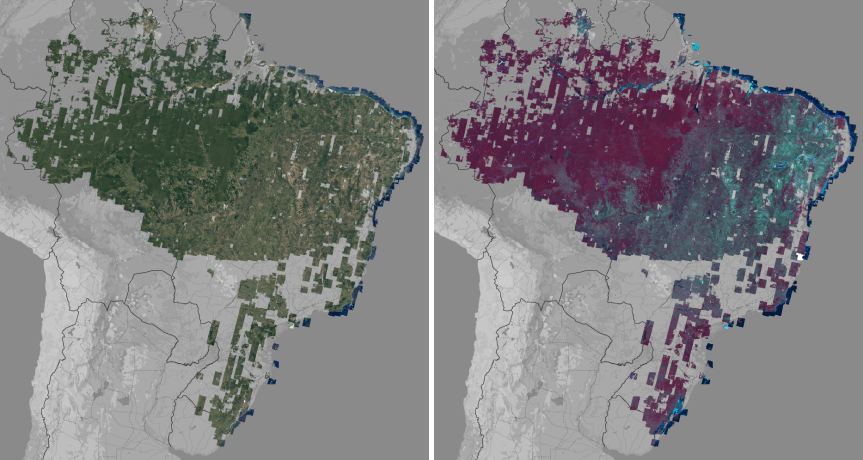 Full extent of the v1.0 Visual Basemap in pseudo-natural color (left) and the Analytic Basemap displayed as a near-infrared false-color (right). Images from Google Earth Engine