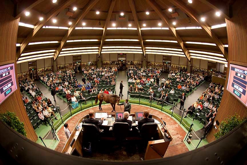 Navigating Yearling Sales: How to Make Informed Purchases  by Clark Shepherd - Bloodstock Agent 