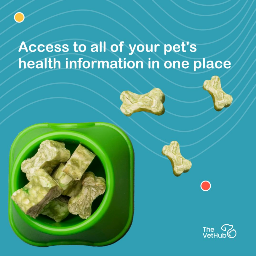 The Future of Veterinary Medicine How Technology is Revolutionizing