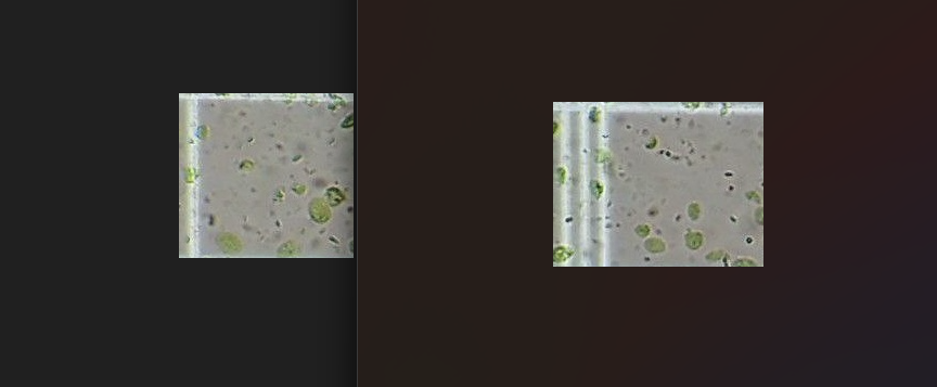 Cropped square image