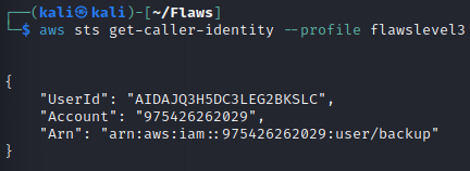 THE　WORLD(プロフ要確認) flaws1-10.png