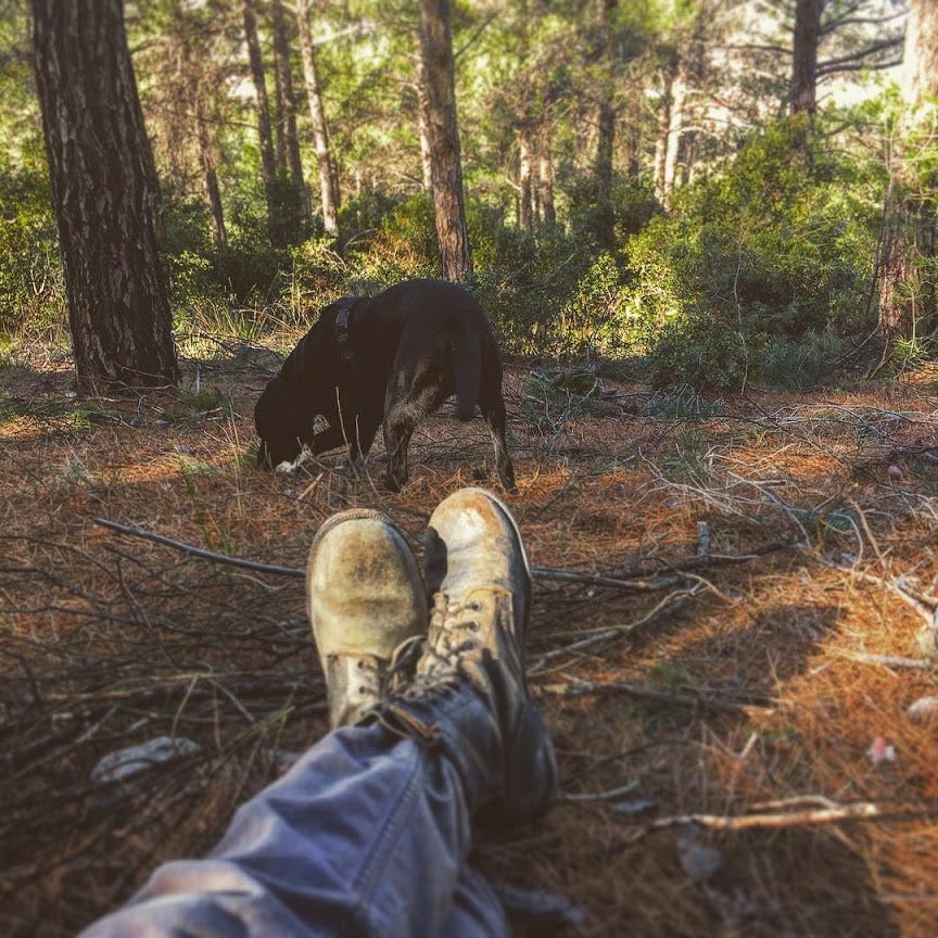 What the Truffles Taught Me About Patience