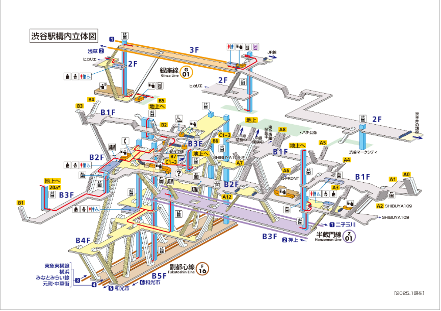 Avoid Transferring at Shibuya Station — Here’s Why (From a Tokyo Local)