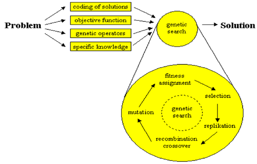 Understanding Genetic Algorithms. Understanding aspects of evolutionary ...