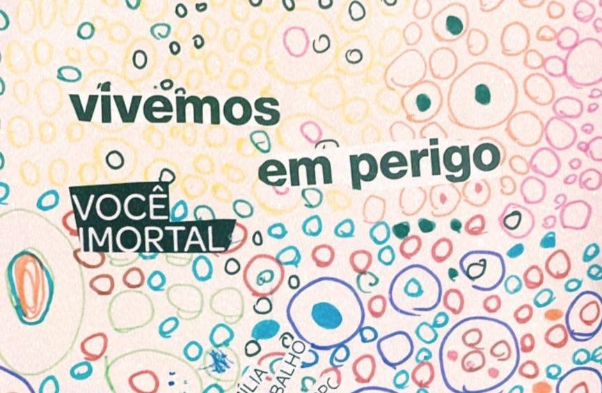 esses dias parei pra sentir tudo.