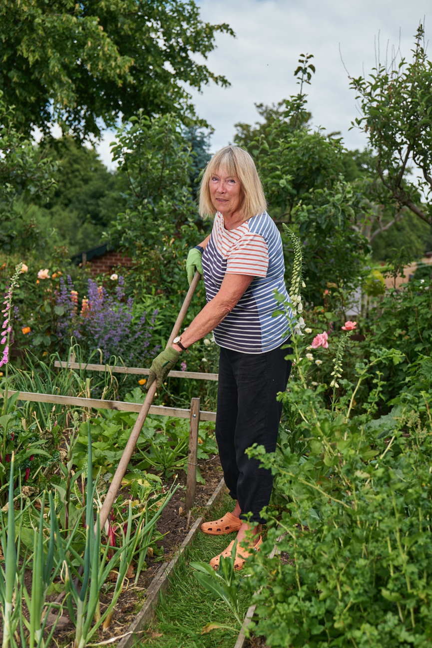 Fall Vegetable Gardening