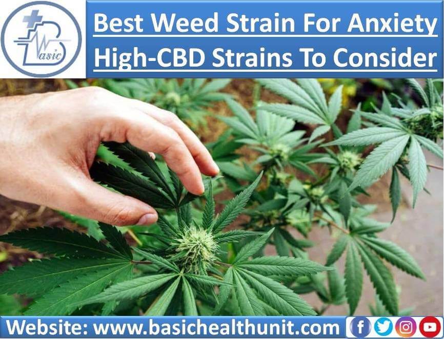 Best Weed Strain For Anxiety by Happybirthdayzone Medium