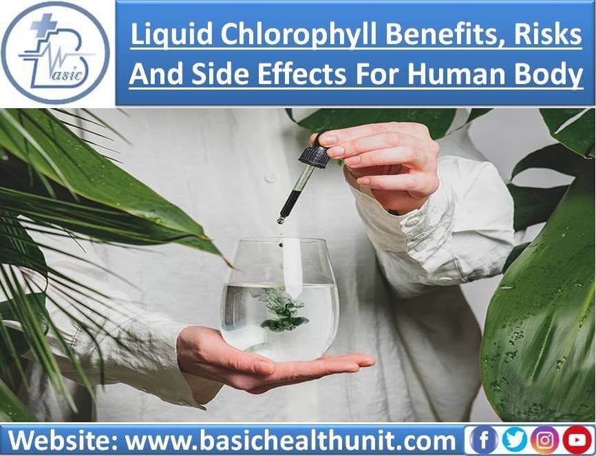 Liquid Chlorophyll Benefits And Risks For Humans And Body You Know by