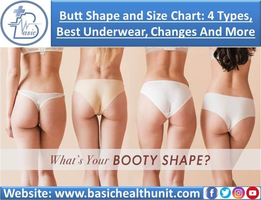Butt Shape and Size Chart: 4 Types, Best Underwear And Changes, by  Muhammad Zohaib Akbar