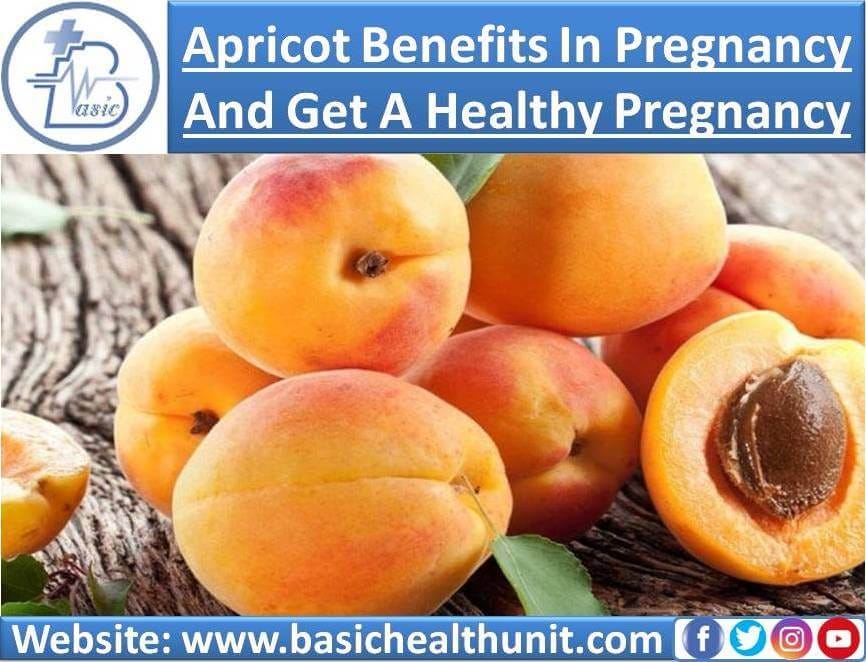 Apricot Benefits In Pregnancy Get A Healthy Pregnancy by Muhammad Zohaib Akbar Medium