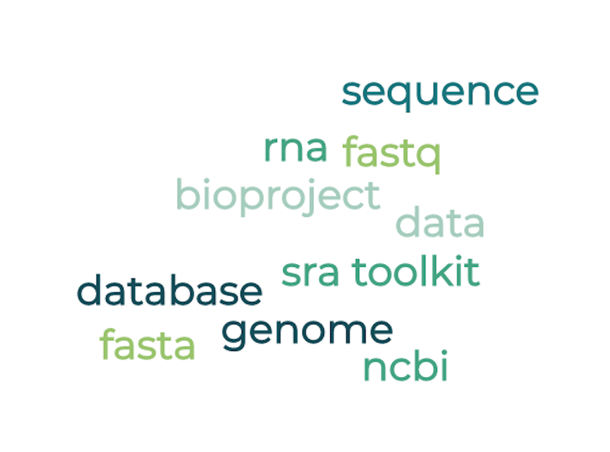 How to Download FASTA/FASTQ Files | by ShortLong-Seq Bioinformatics ...