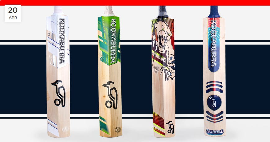 Best cricket bat 2022: Wood bats from top sports gear brands