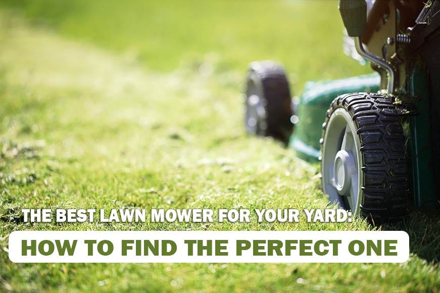 The Best Lawn Mower for Your Yard: How to Find the Perfect One | by