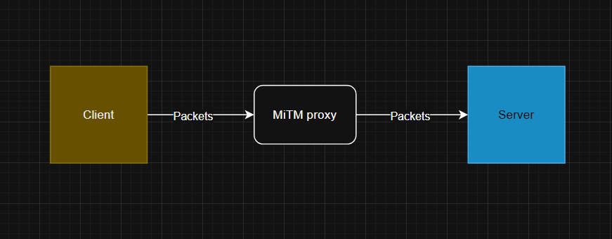 101: How to write your own custom scripts from scratch for intercepting network traffic and what is…