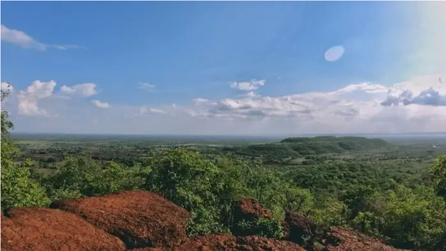 Ananthagiri Hills Camping: A Unique Way to Experience Nature’s Beauty ...