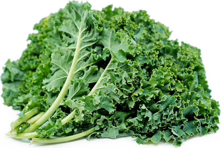 Eating kale during pregnancy. Kale is mainly used raw in salads and