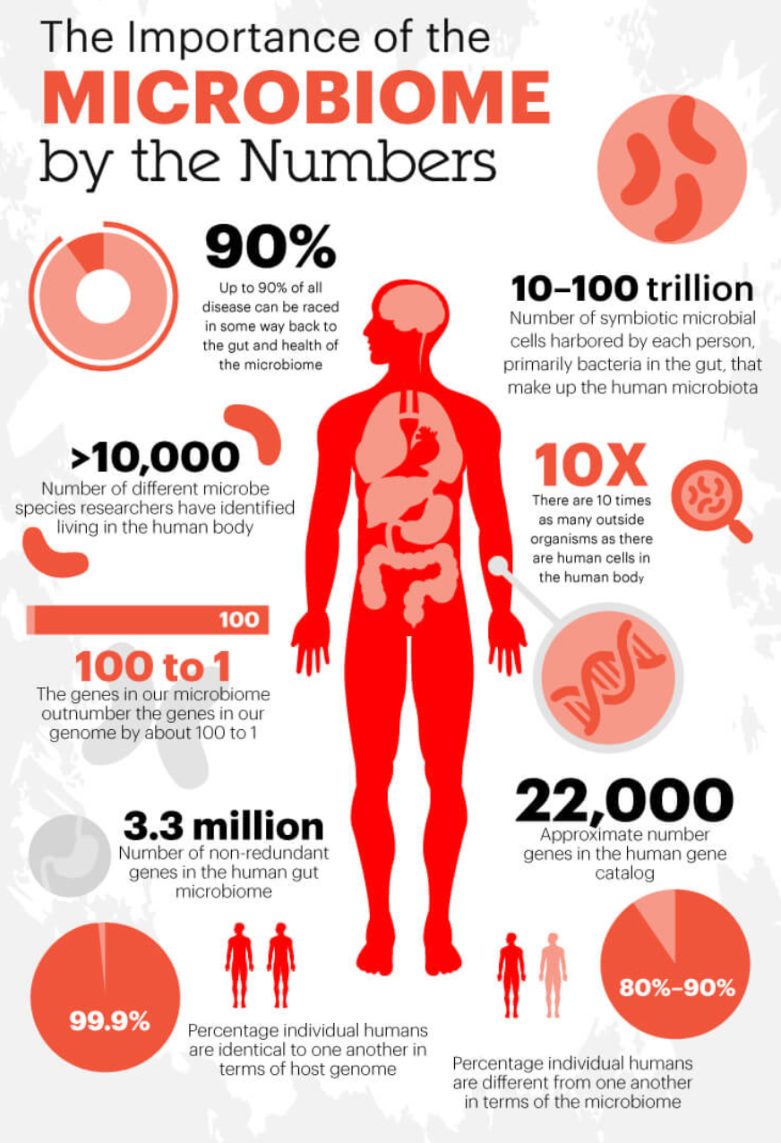 The human microbiome and why the solution for all disease lies within
