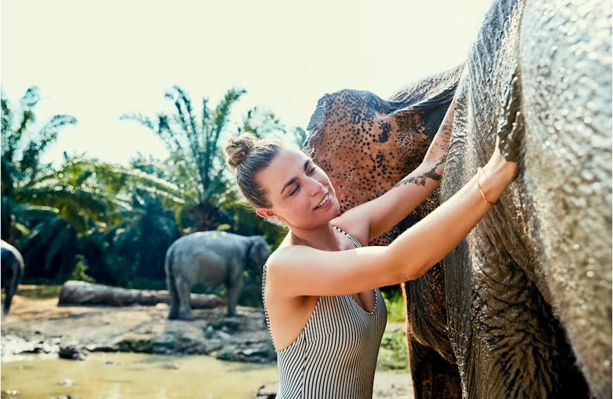 Beyond the Palaces: Why This Ethical Elephant Experience Stole the Show on My Jaipur Trip