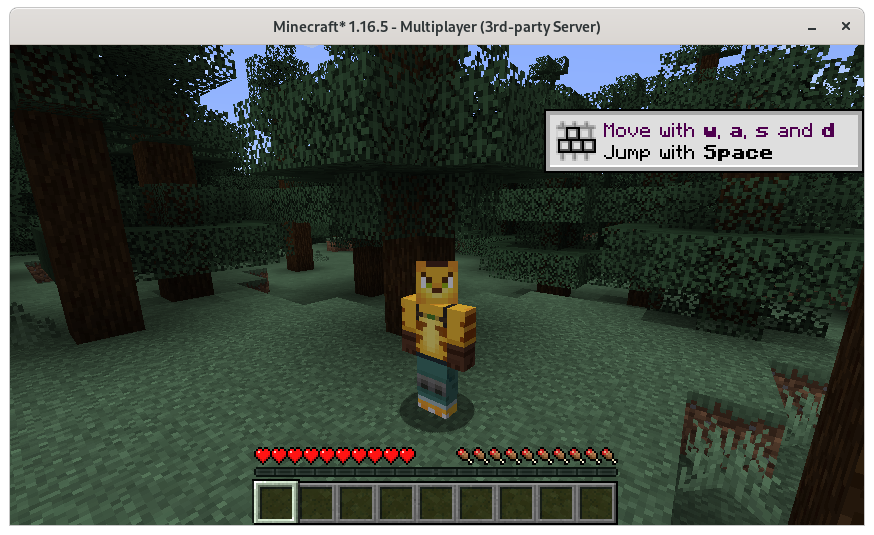 Minecraft: Java Edition Servers