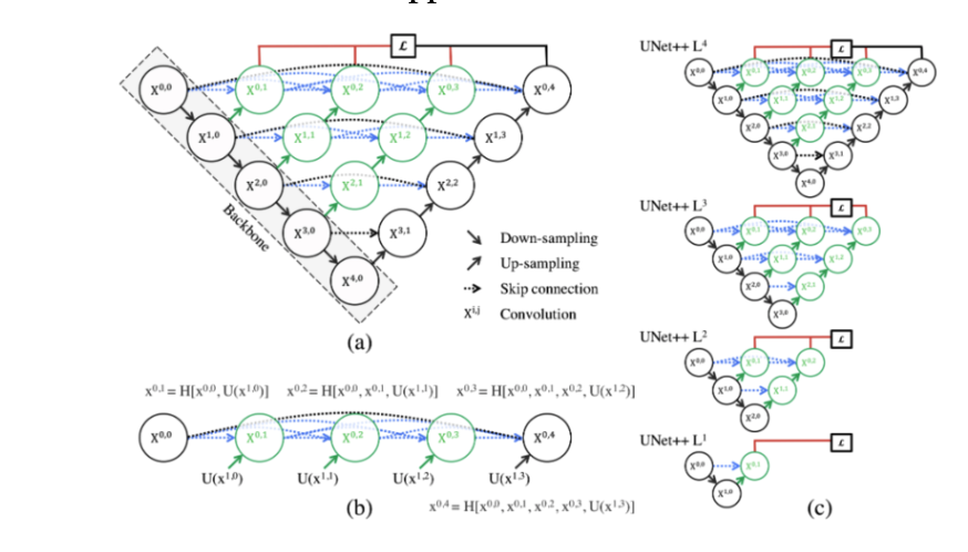 Exploring the U-Net++ Architecture: A Comprehensive Guide to Advanced ...