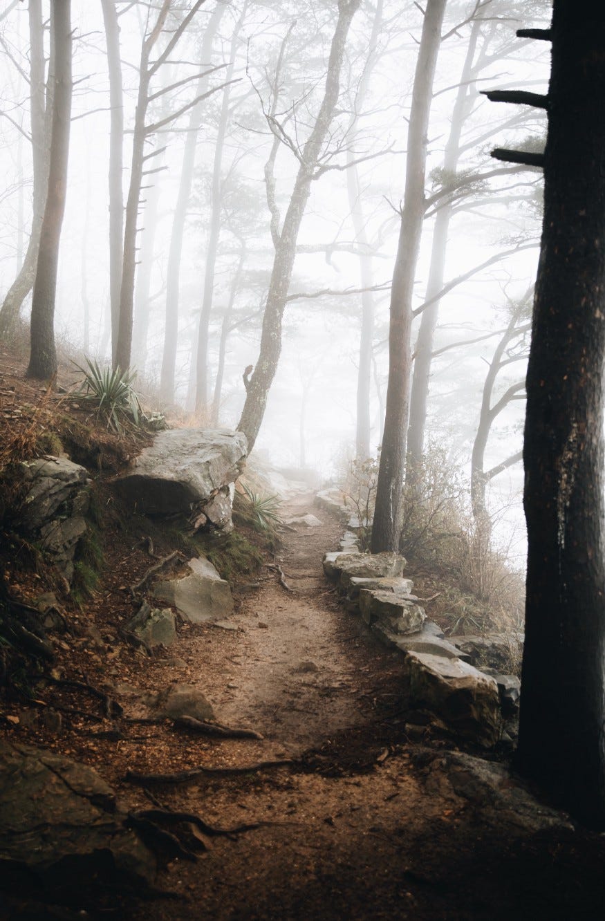 Landslide. Reader’s Note: Some of this was… | by Nova | Medium
