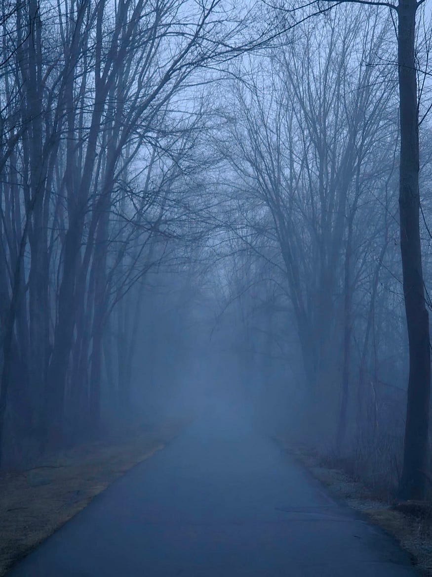 Co-Creating with Uncertainty