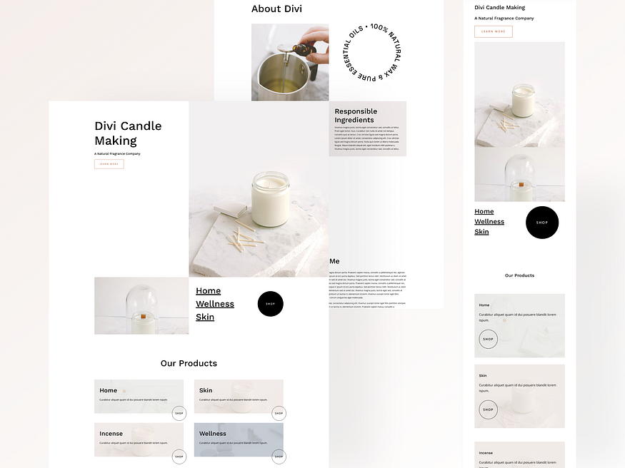 Divi design concept from Elegant Themes Dribbble showing a modern business layout