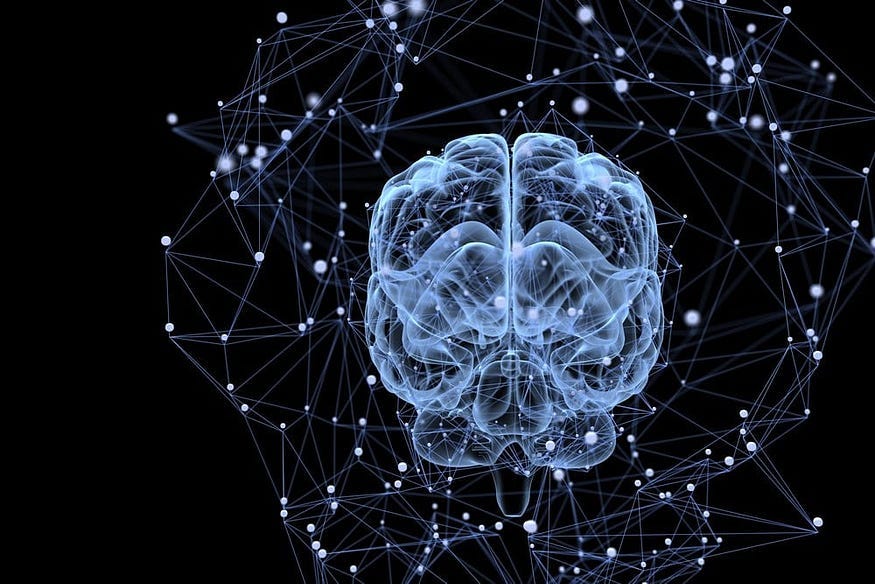 Fig 1. Brain