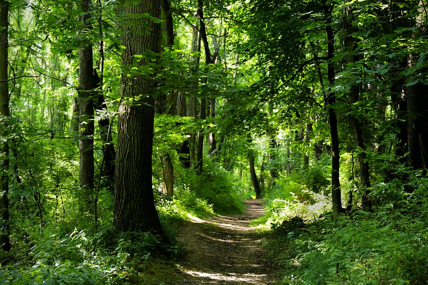 The Appalachian Trail, USA