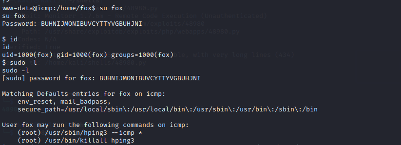 sudo exploit