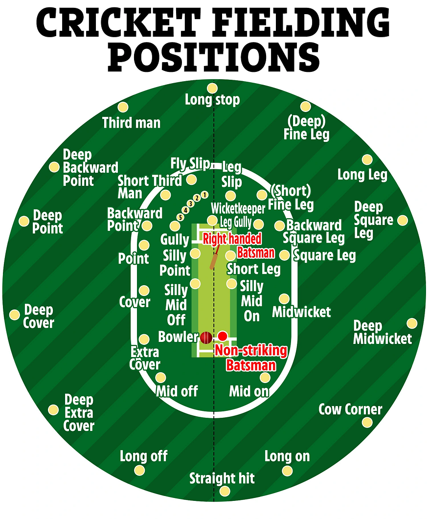 Cricket Fielding Positions: A Strategic Guide