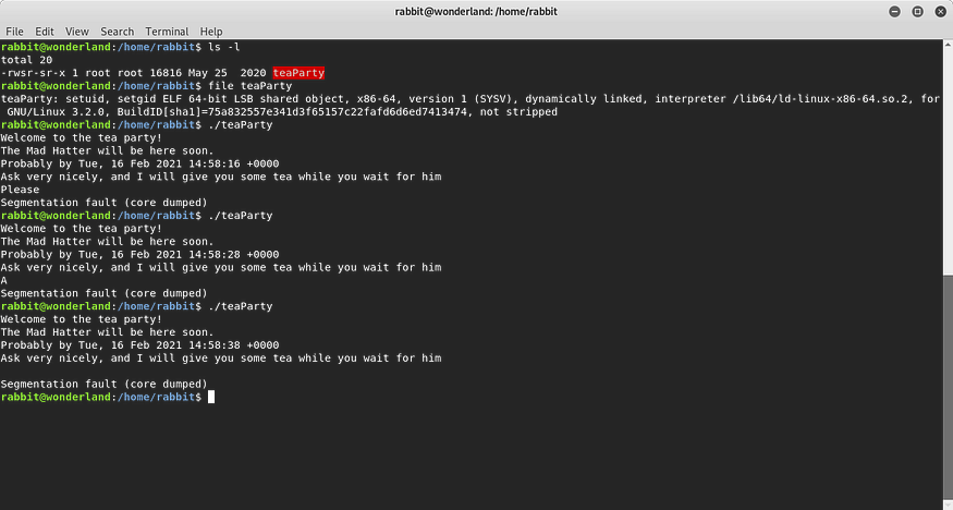 Rabbit Executable File