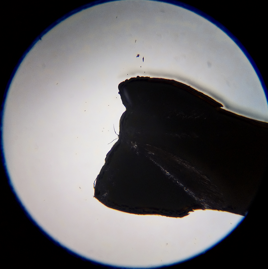 1*7lecEcdw4dOZL1noUbMf1A