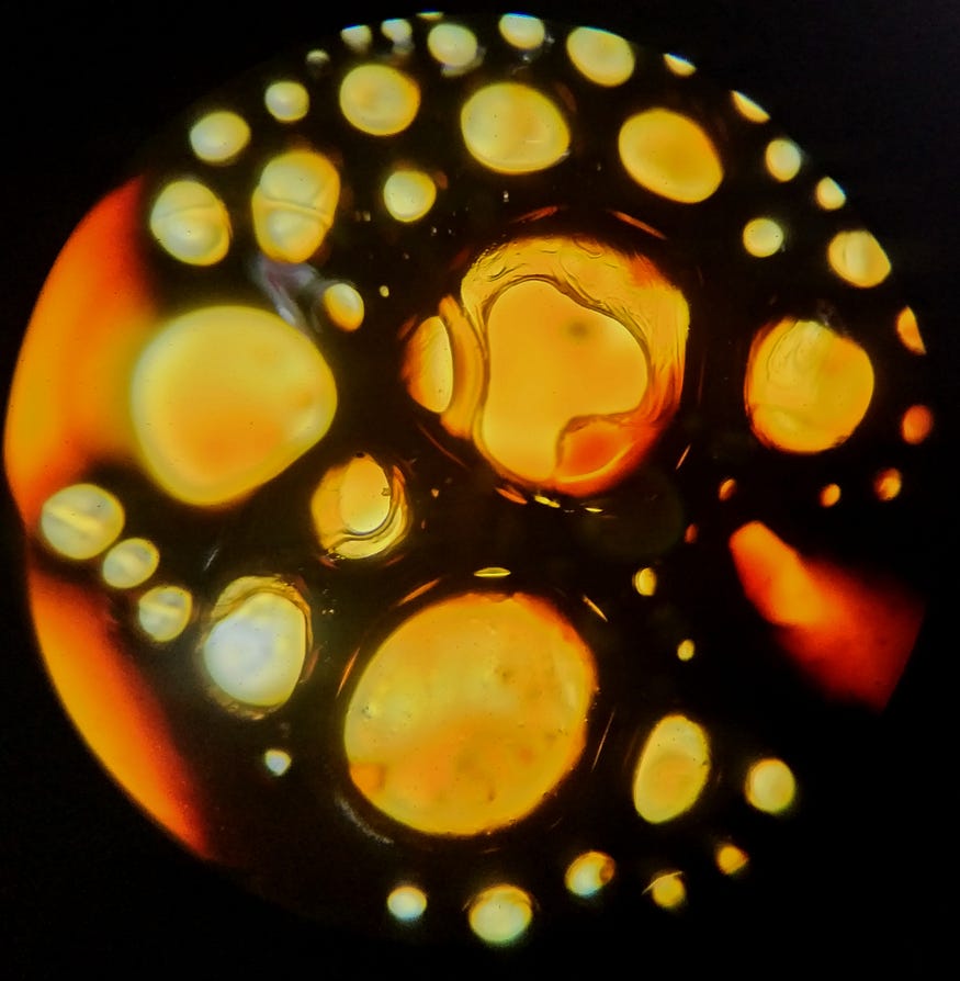 1*8NZyubydKZW3iJDhOCjmWA