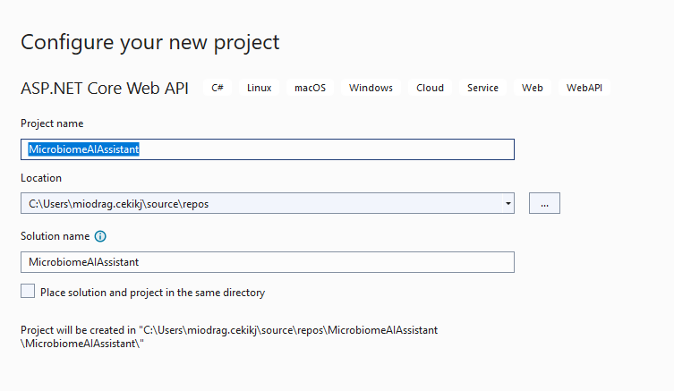Configuring the ASP.NET Core Web API project