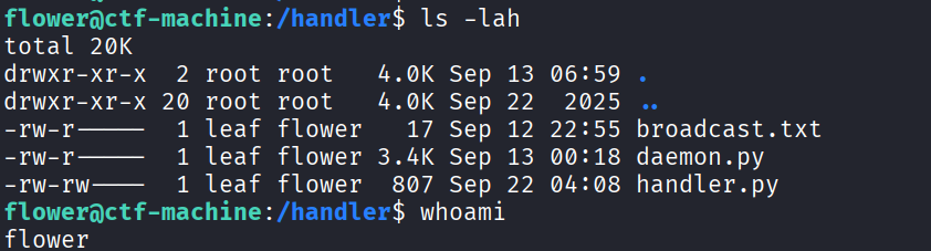 handler 目录