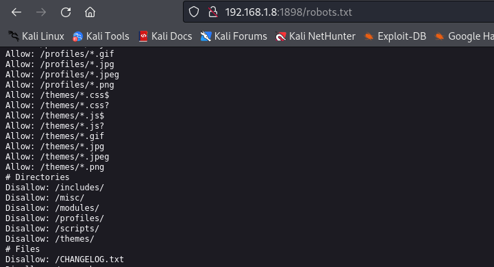 robots.txt file
