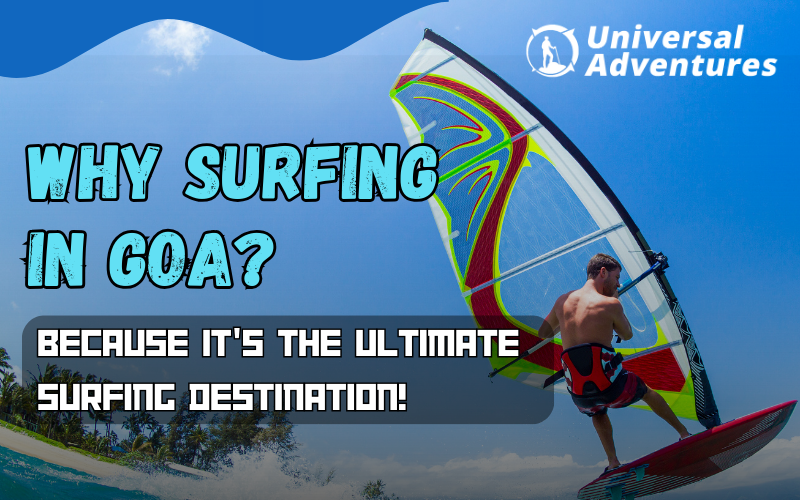 Surfing in Goa