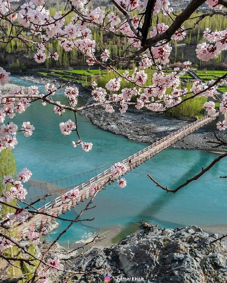 https://www.hunzaadventuretours.com.pk/hunza_appricot_cherry_blossom_tours.html