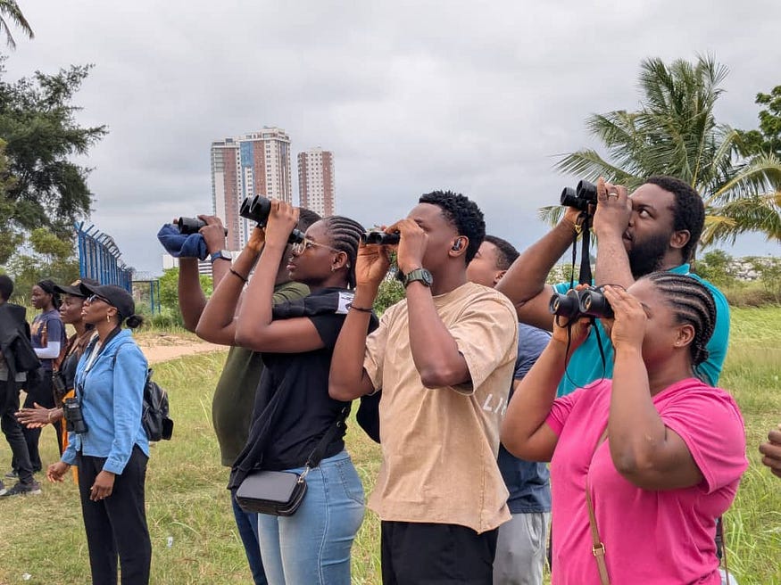A Day of Birdwatching at Tarkwa Bay with Lekki Bird Club