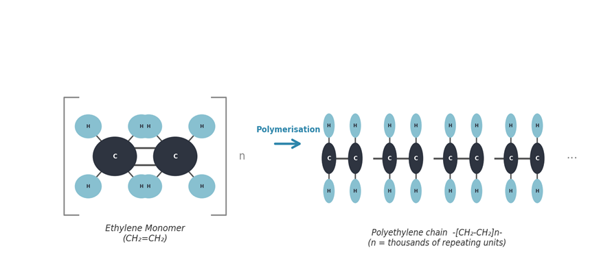 The Quiet Revolution: How Polymers Became the Most Important Materials in Modern Life