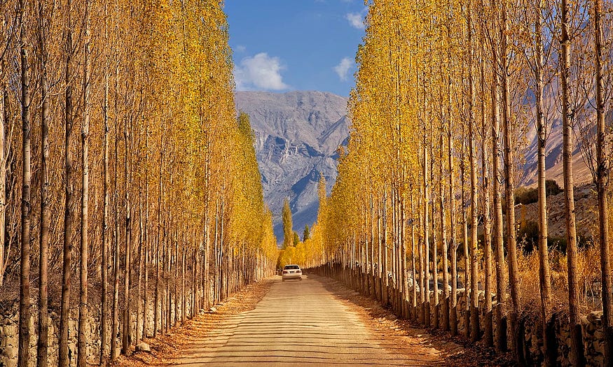 https://hunzaadventuretours.com/tour/gilgit-baltistan-autumn-tour/
