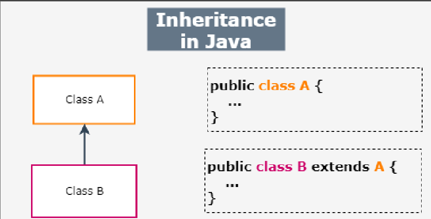 Inheritance in Java. In object-oriented programming… | by Cryptogyaani ...
