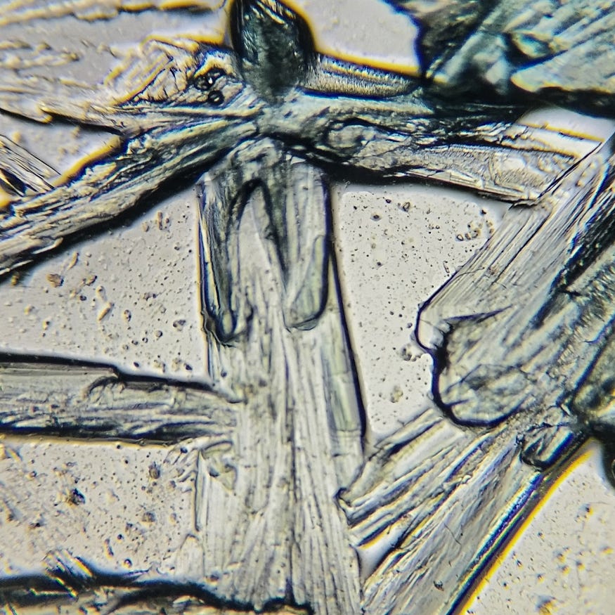 1*Q9VwAlAEDbAomqBZ0Zbfow